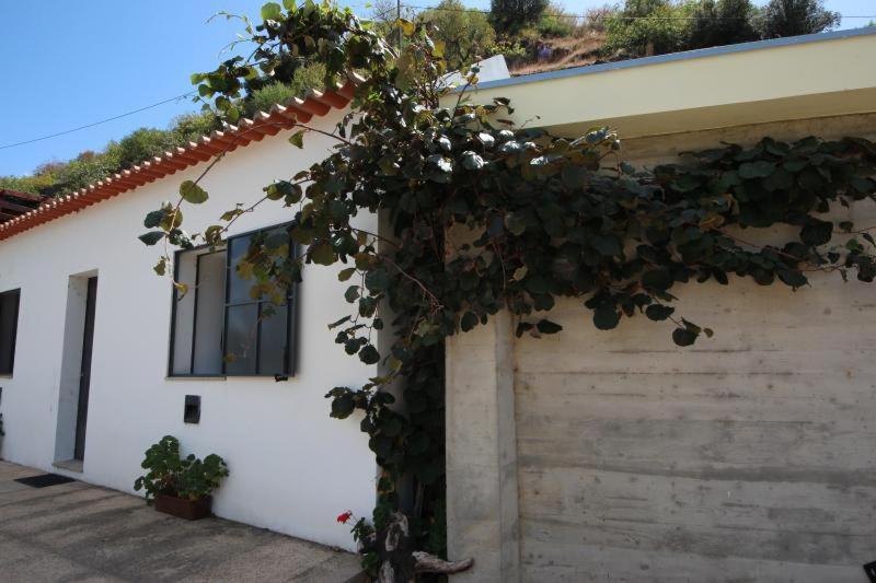 Douro Yacht Charter & Bungalows Sao Joao da Pesqueira Ngoại thất bức ảnh