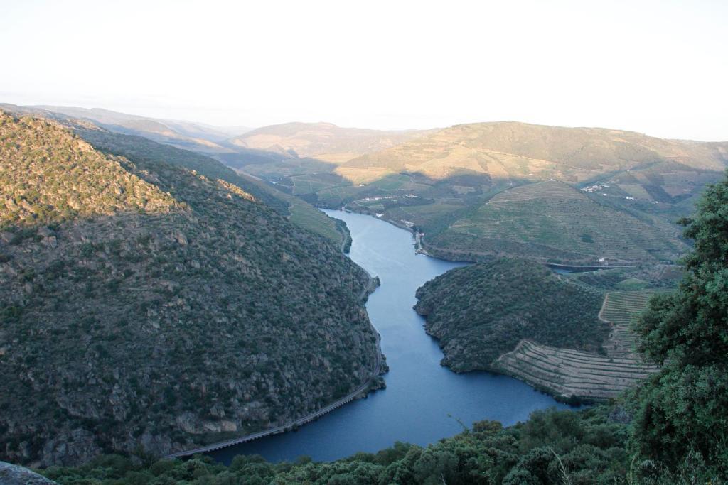 Douro Yacht Charter & Bungalows Sao Joao da Pesqueira Ngoại thất bức ảnh