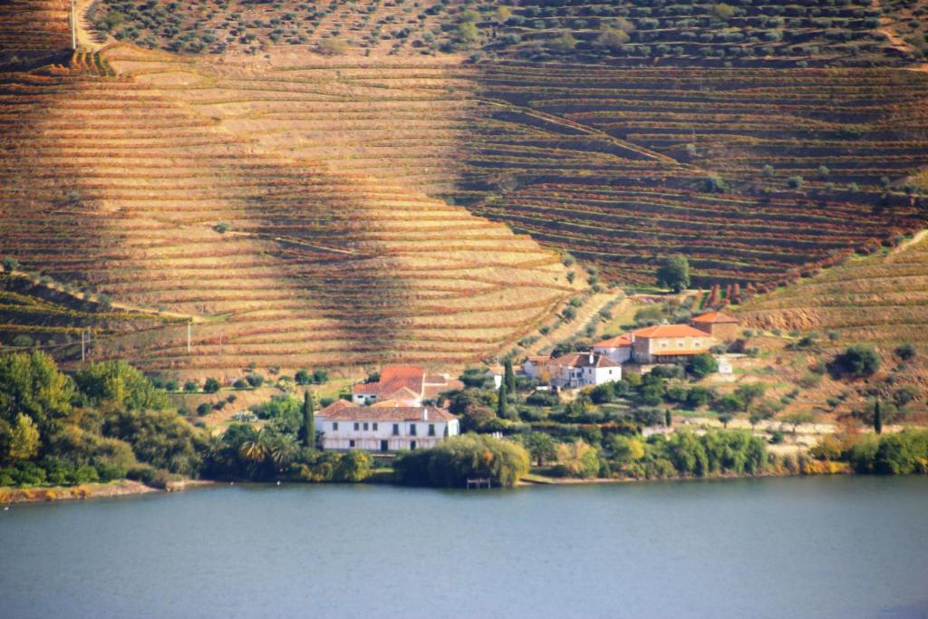 Douro Yacht Charter & Bungalows Sao Joao da Pesqueira Ngoại thất bức ảnh