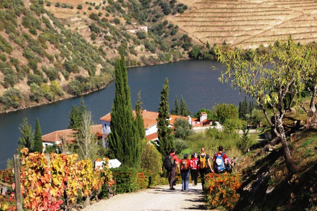Douro Yacht Charter & Bungalows Sao Joao da Pesqueira Ngoại thất bức ảnh