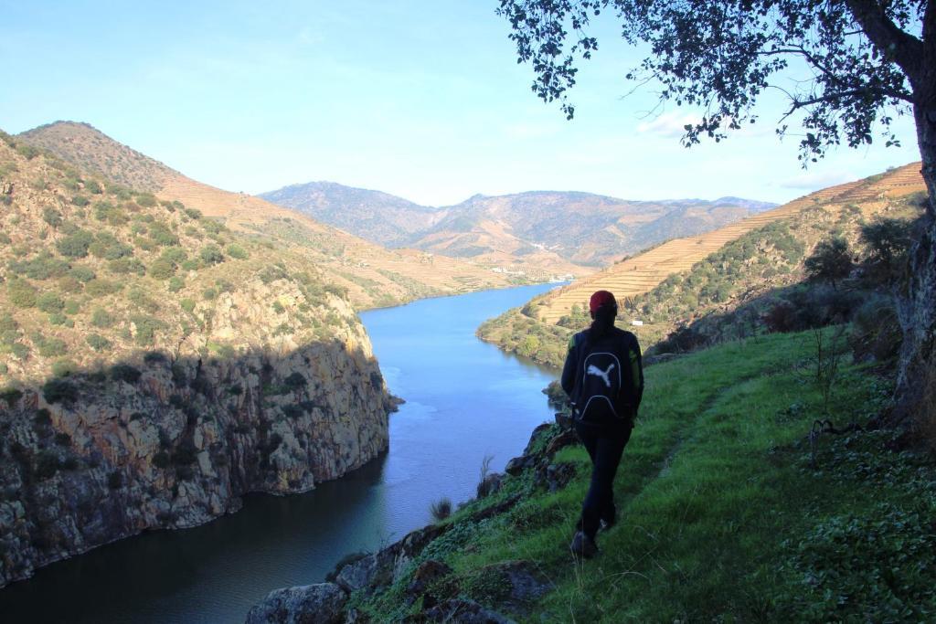 Douro Yacht Charter & Bungalows Sao Joao da Pesqueira Ngoại thất bức ảnh