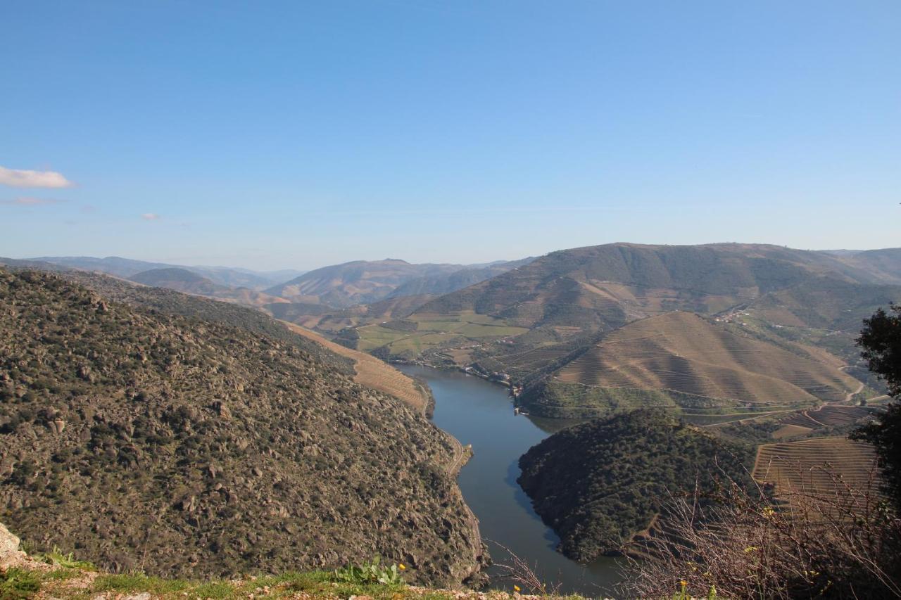 Douro Yacht Charter & Bungalows Sao Joao da Pesqueira Ngoại thất bức ảnh